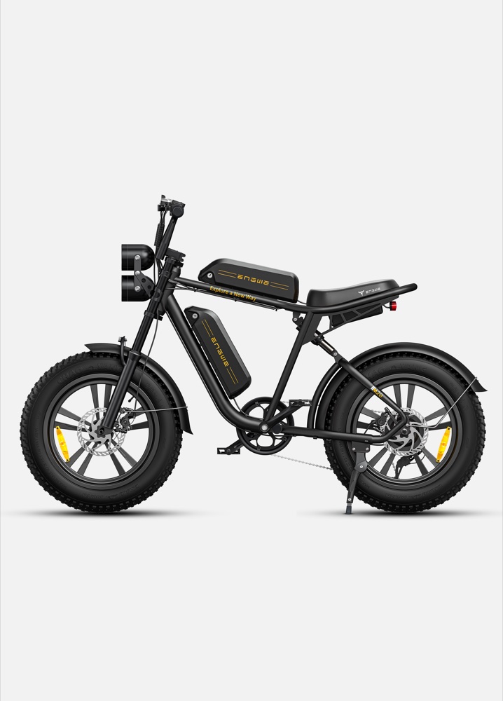 ENGWE M20 — Vélo Électrique Fat Bike 250 W · 75 km d'autonomie · Double batterie possible